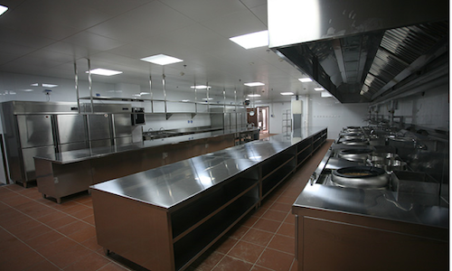 How to Choose the Right Commercial Ranges?