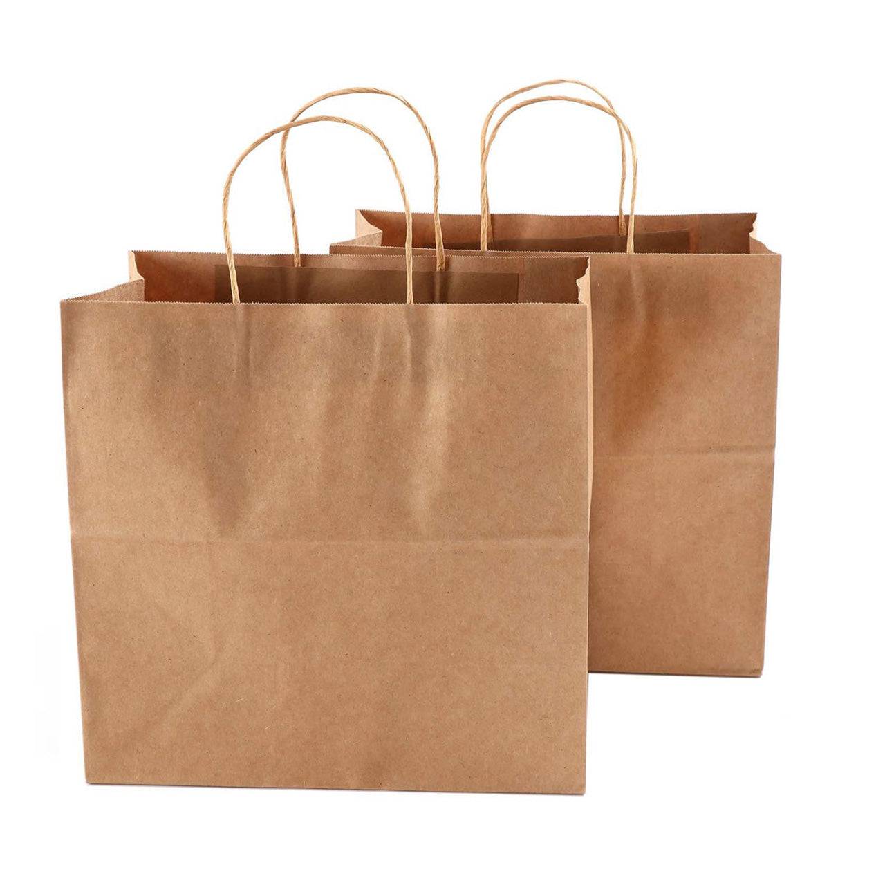 200 Pcs, ECO Friendly Kraft Paper Bags with Recycled Twist Handle (PB-1373/EM-1373) - Chefcoca