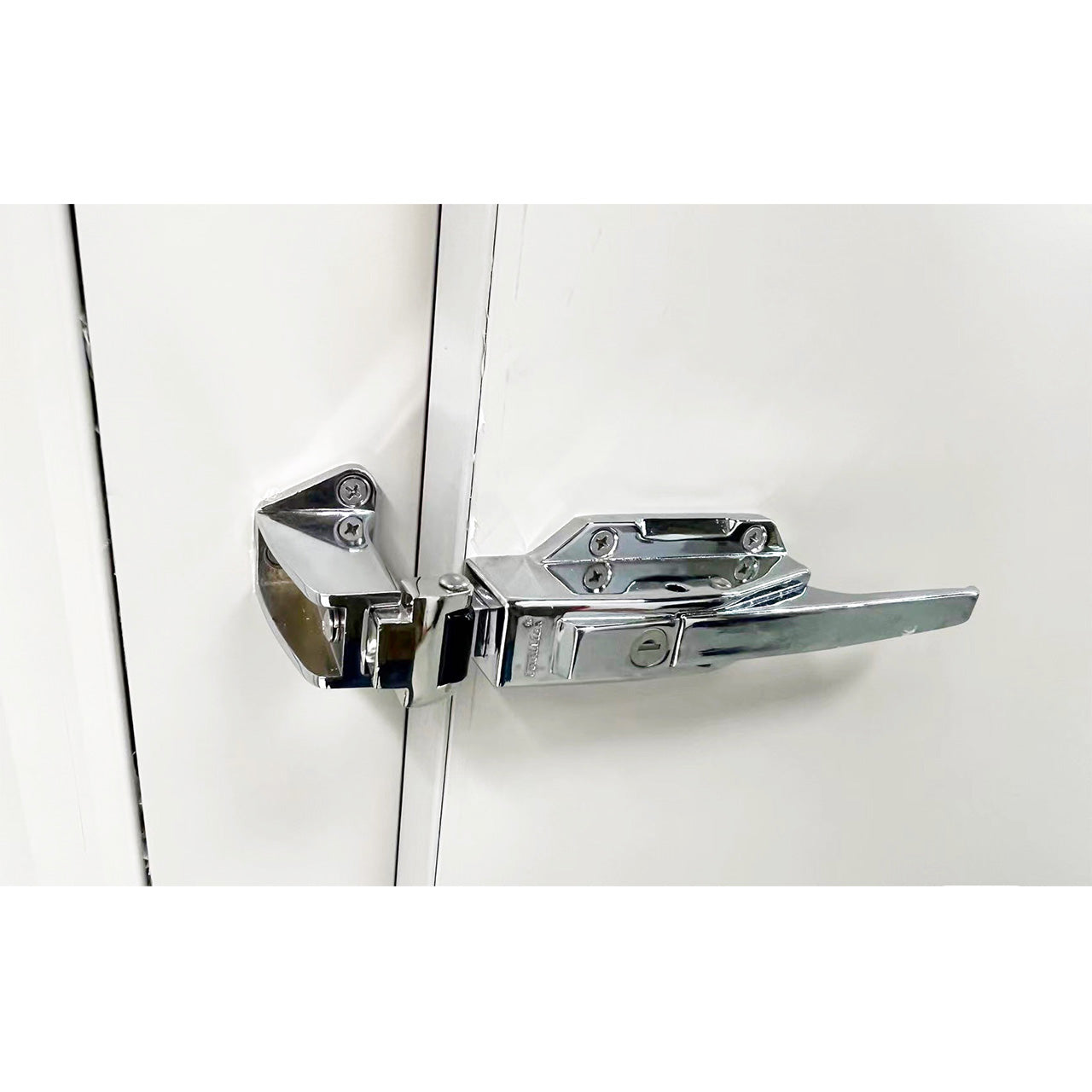 Sub-Equip Walk-In Freezer with Floor, 4" Thick Panels, 10W x 10D x 8.5Hft, WT-10104F - Chefcoca