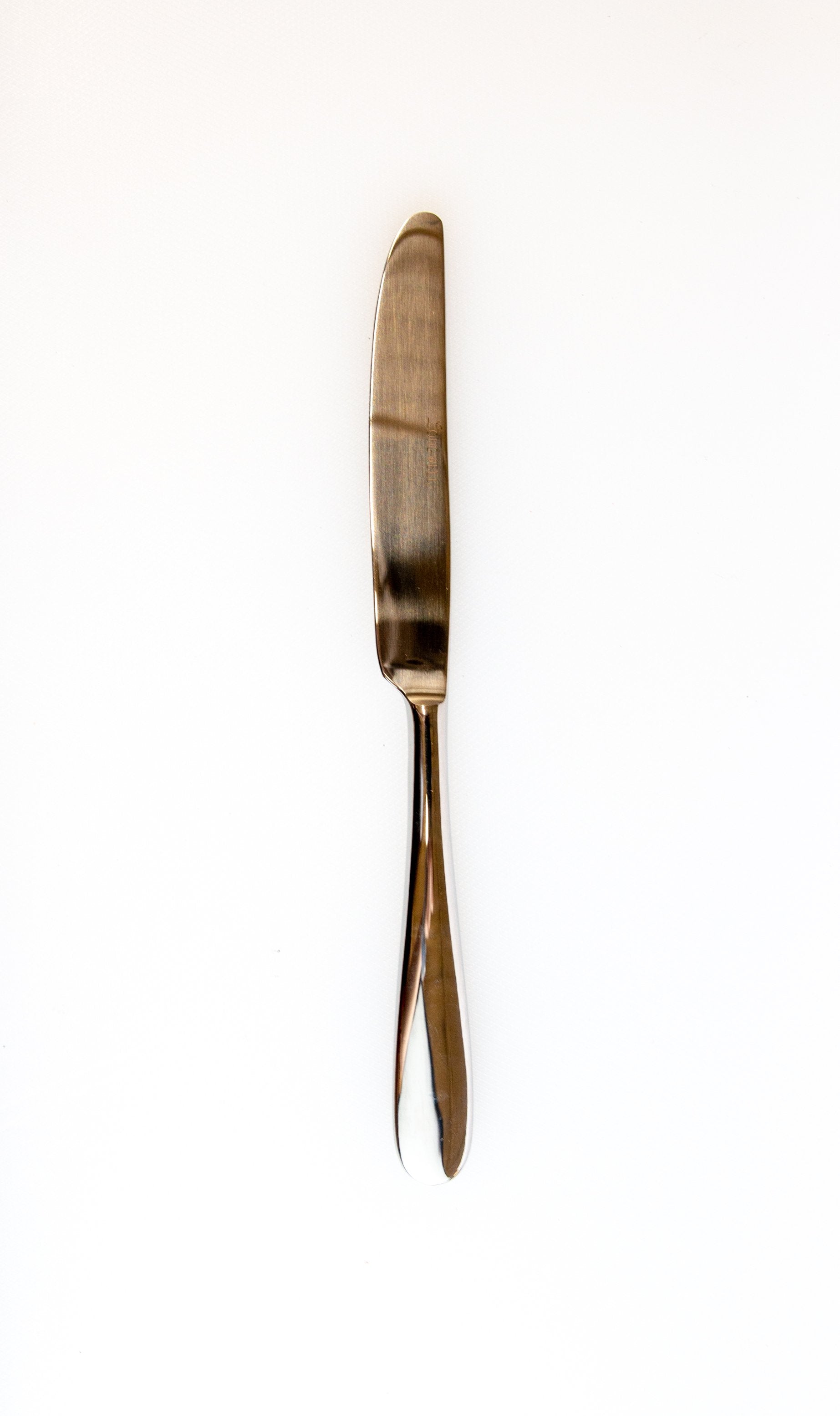 Eve 9" Stainless Steel Dinner Knife - Chefcoca