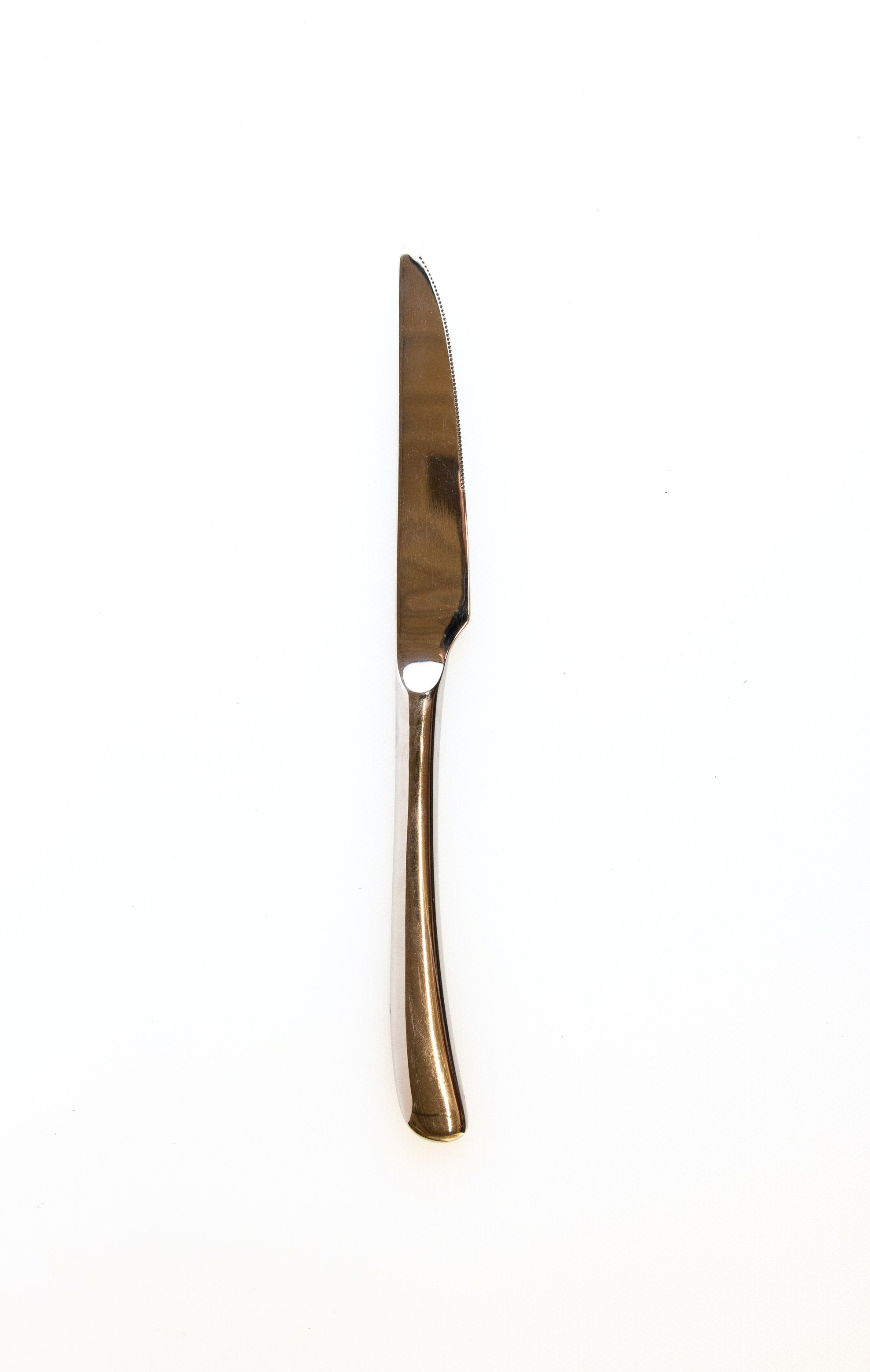 Aires 9.5" Stainless Steel Dinner Knife, 12pcs - Chefcoca