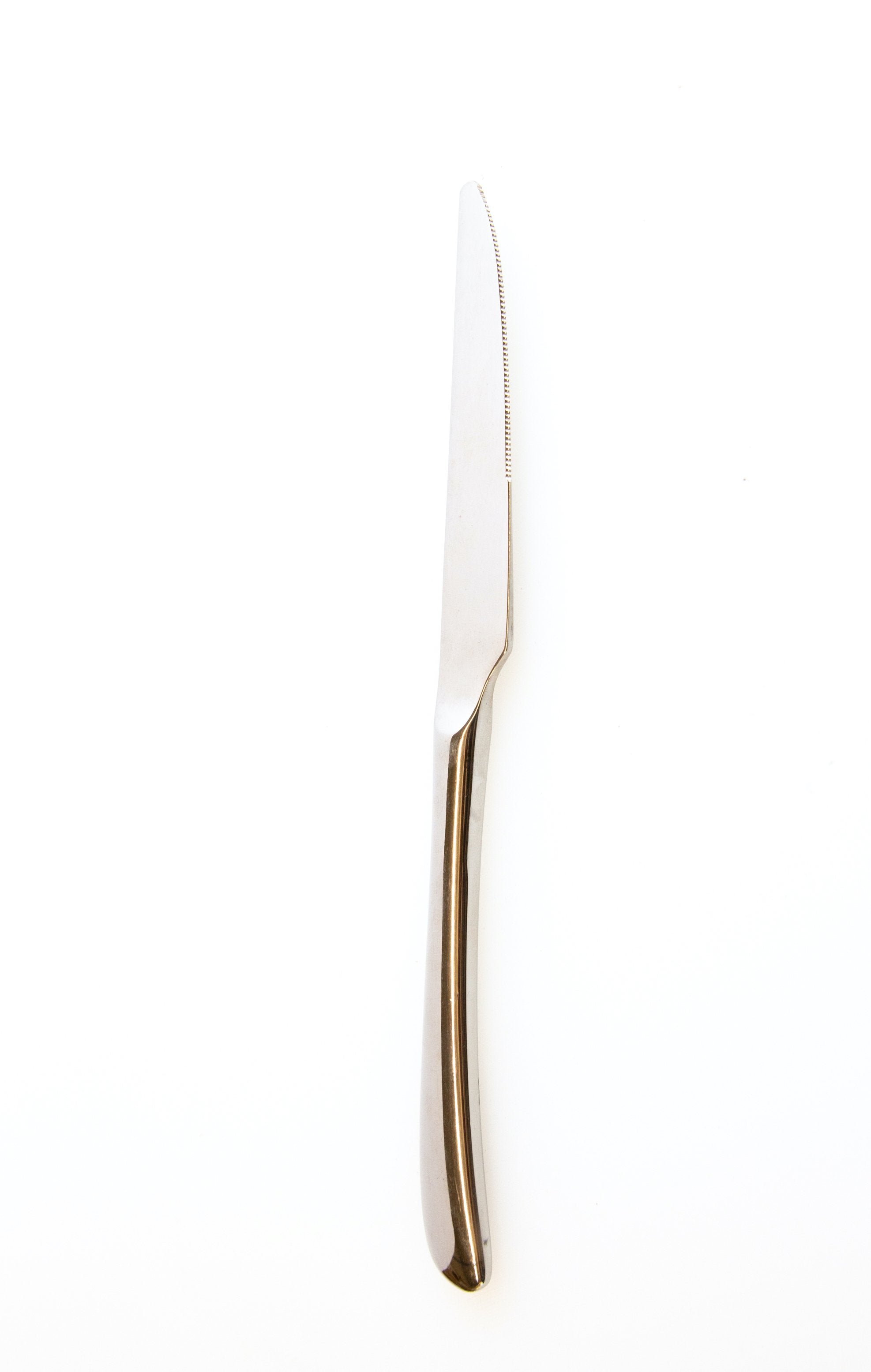 Aires 9.5" Stainless Steel Dinner Knife, 12pcs - Chefcoca