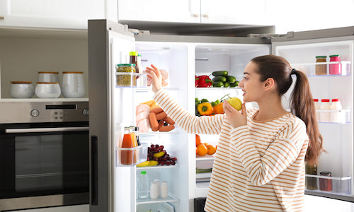 Refrigerator Cleaning and Maintenance Guide