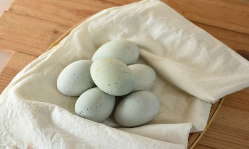 preserved egg