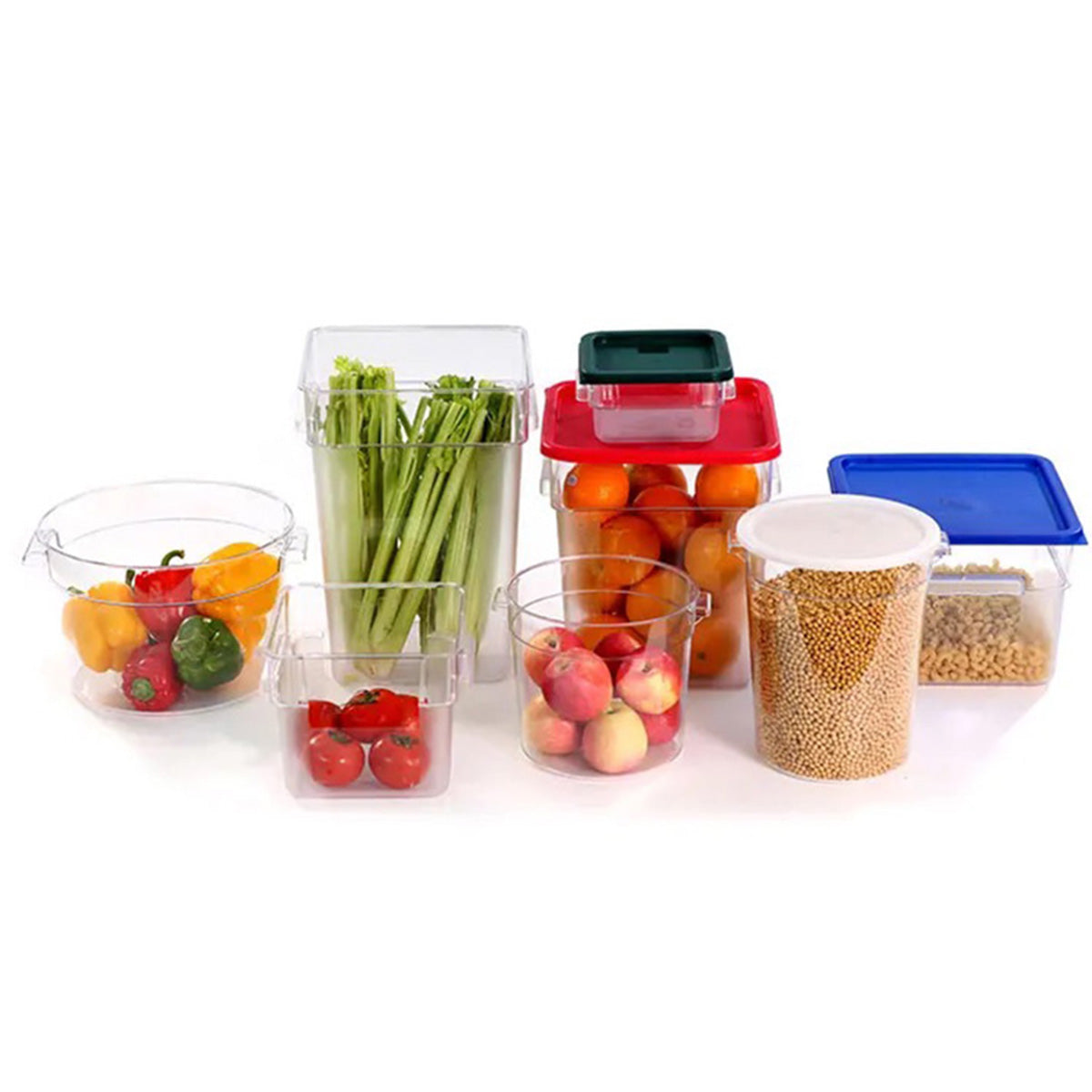 Food Storage Container