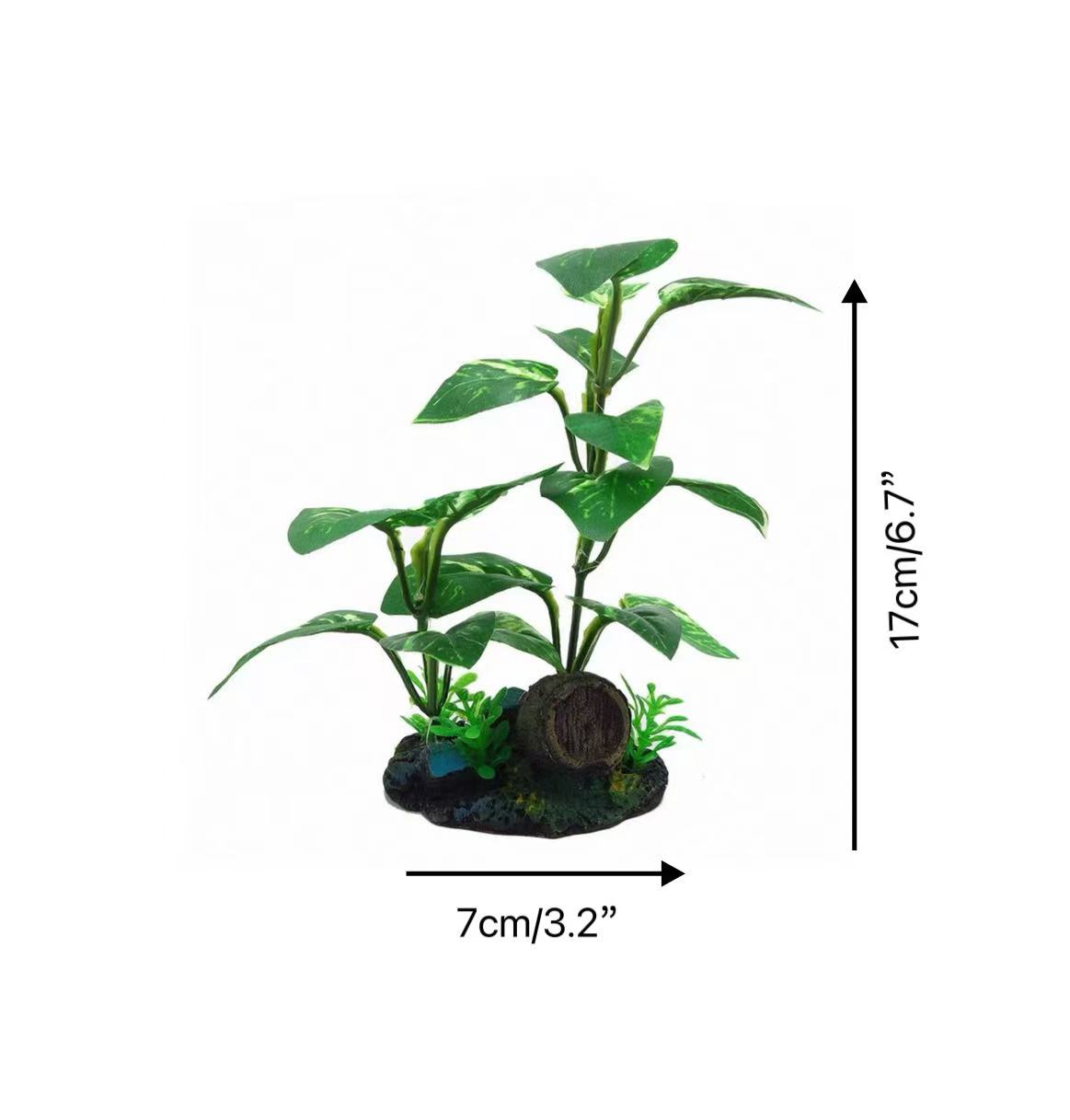 Décoration de petit bonsaï