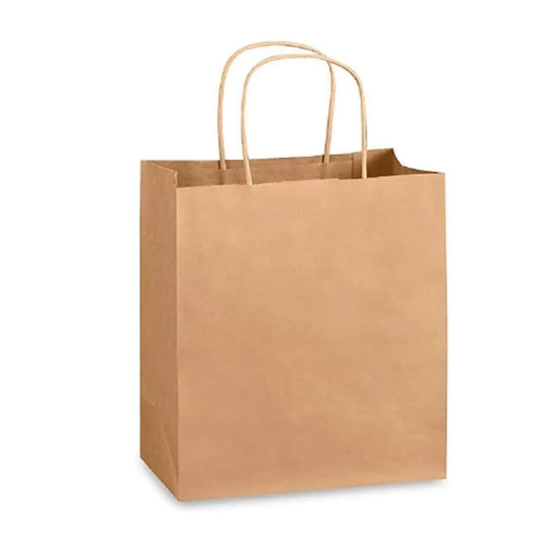 200 Pcs, ECO Friendly Kraft Paper Bags with Recycled Twist Handle (PB-1653)