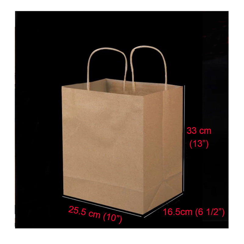 200 Pcs, ECO Friendly Kraft Paper Bags with Recycled Twist Handle (PB-1653)