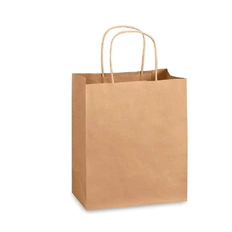 200 Pcs, ECO Friendly Kraft Paper Bags with Recycled Twist Handle (PB-7)