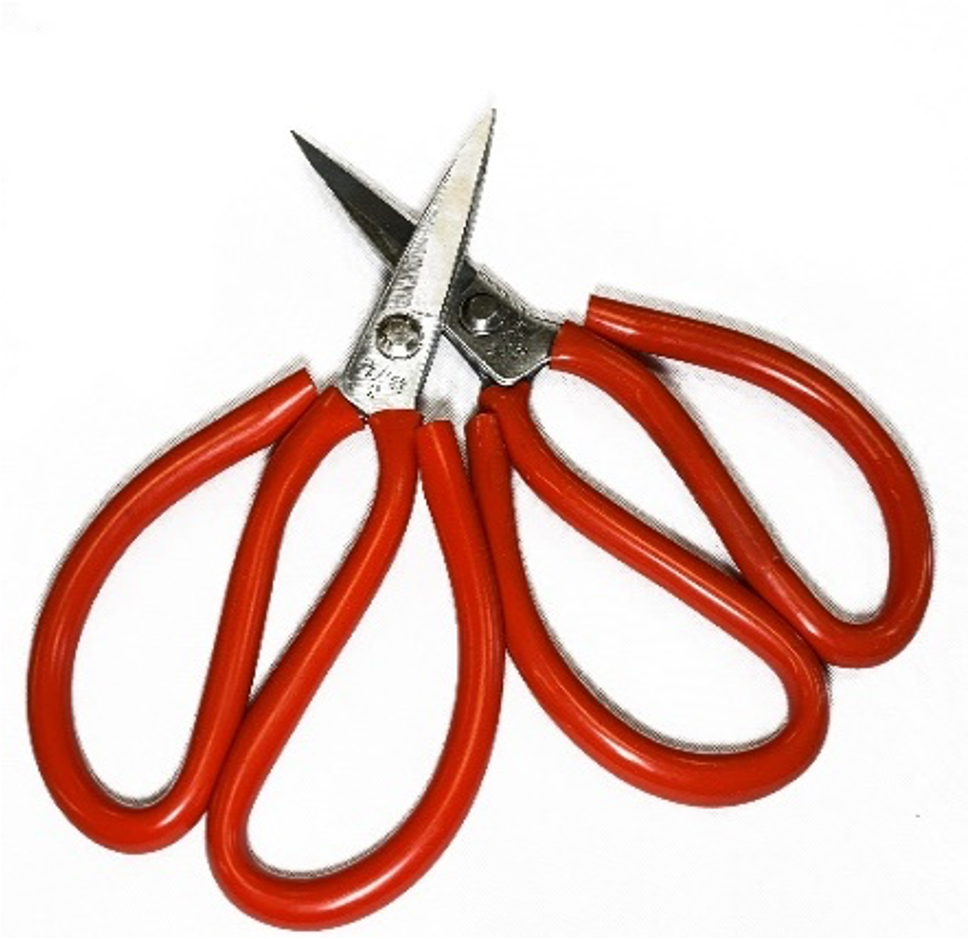 Red Fish Shears - Chefcoca