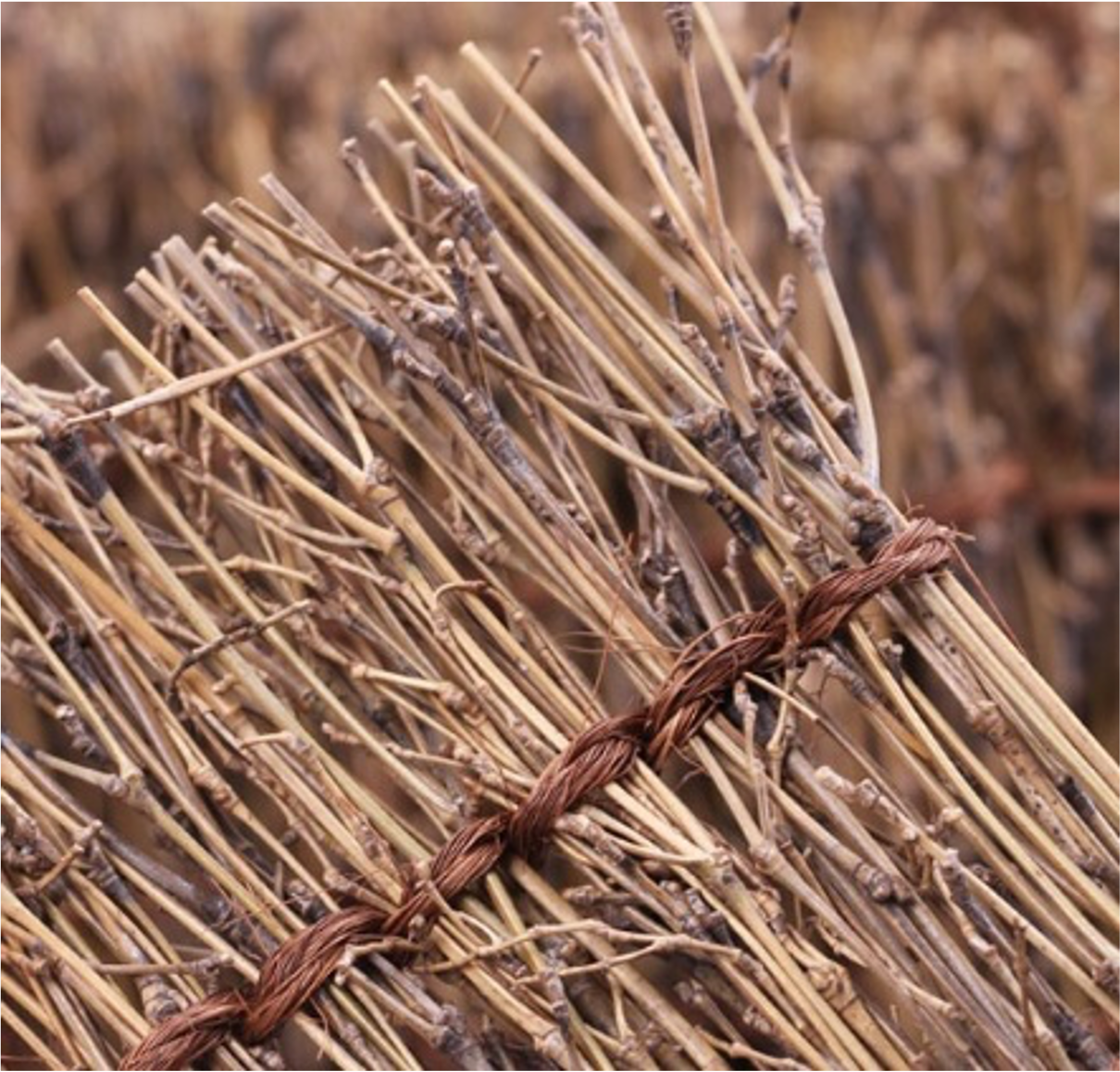 Bamboo Branch Decoration