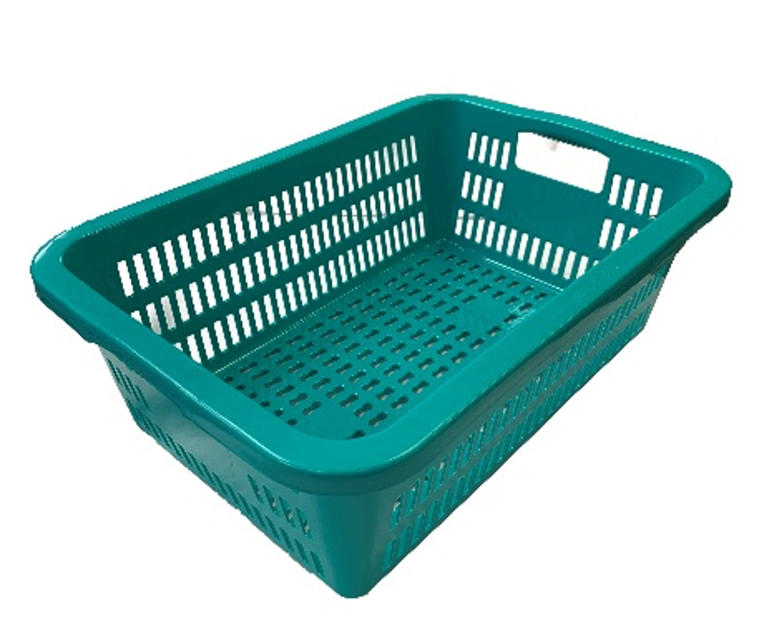 Green Rectangular Vegetable Wash Basket with Cut-out Handle