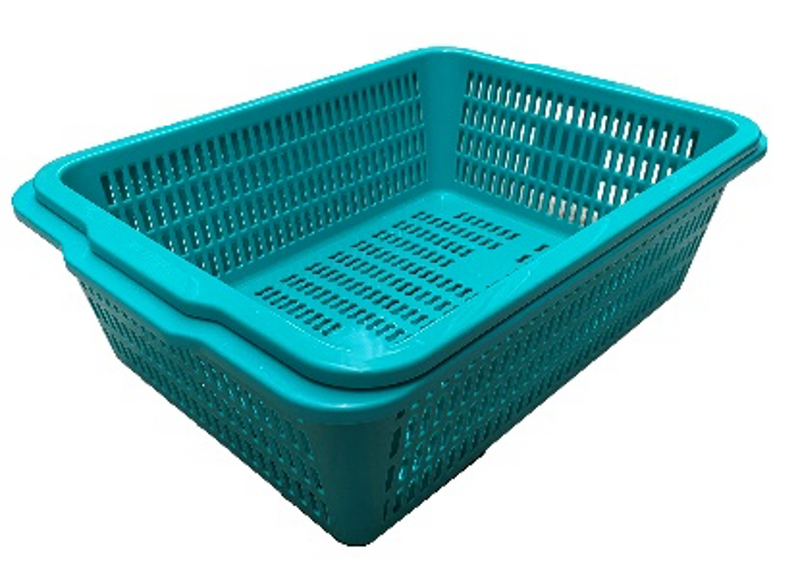 Green Rectangular Vegetable Wash Basket (Medium Grid)