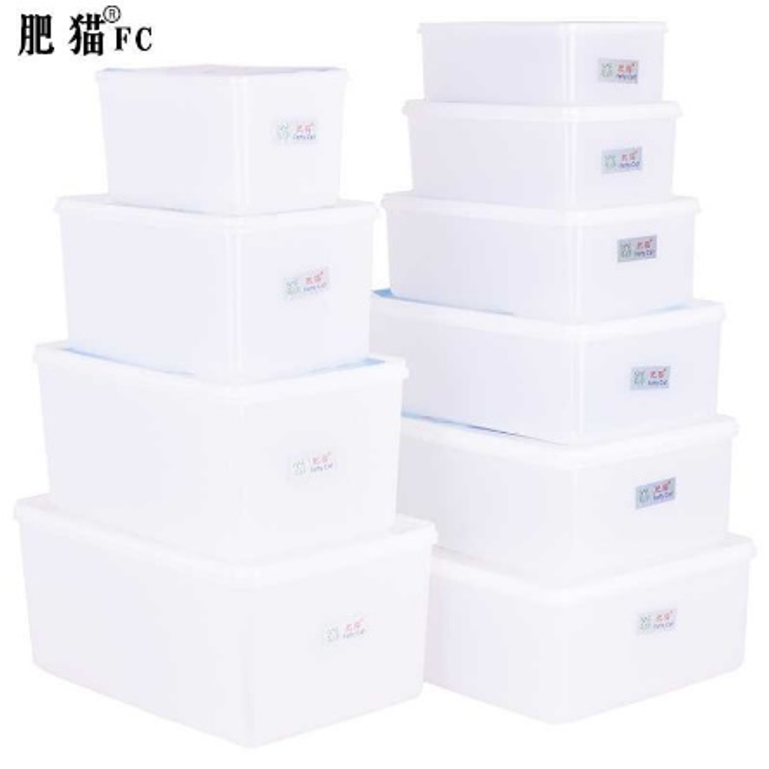 Rectangular Plastic Storage Container with Lid