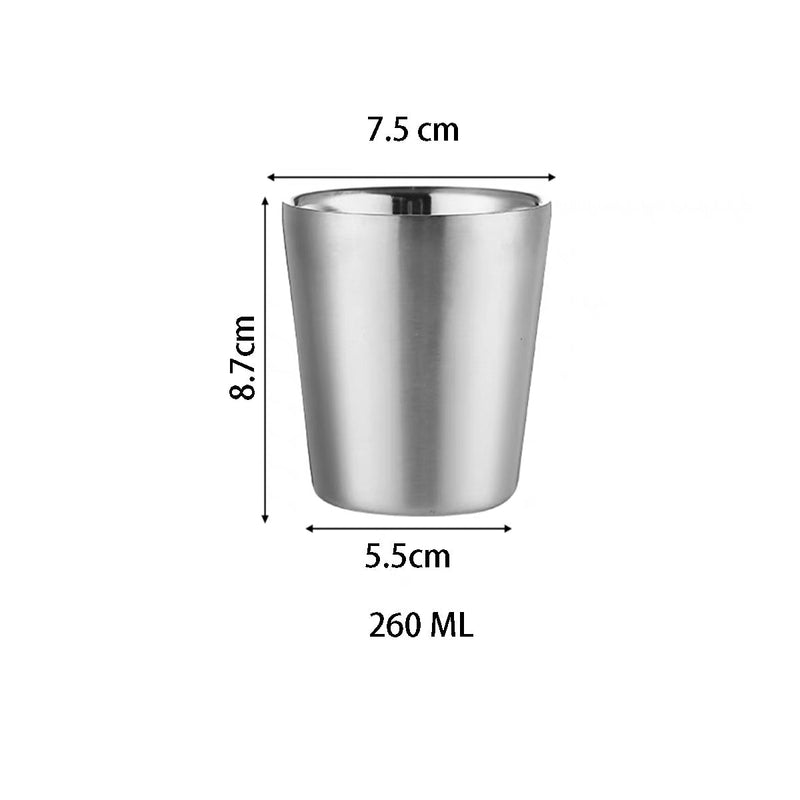 Stainless Steel , Double Wall Insulated Mug-Silver
